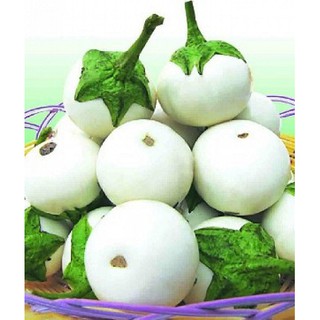 Bộ Gói Hạt Giống Cà pháo (cà bát) (cà trứng) Tím