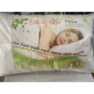 Gối Gòn ép hơi 40x60cm
