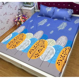 Combo bộ ga chun lá cọ Kèm 2 vỏ gối nằm đủ kích thước