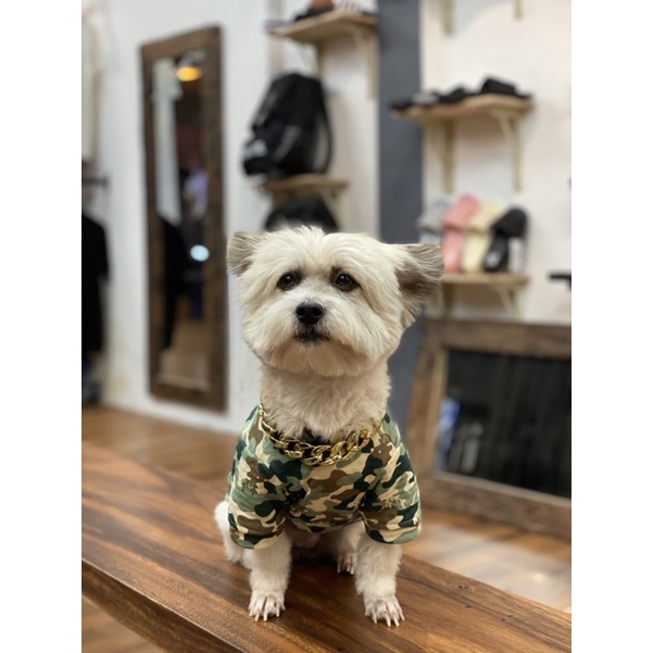 Áo Drew Camo cho chó mèo