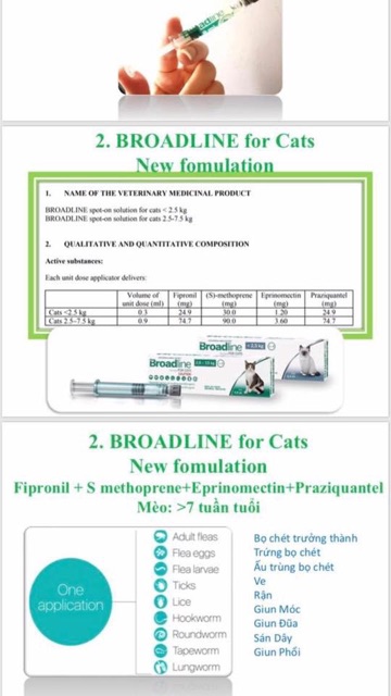 BROADLINE®: GIẢI PHÁP TOÀN DIỆN PHÒNG KÝ SINH TRÙNG CHO MÈO