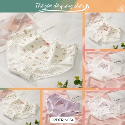 Quần lót nữ cotton thông hơi nâng mông, co giãn đa dạng mẫu mã - Hàng Quảng Châu Cao Cấp