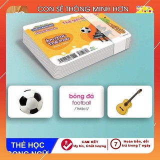 Thẻ học thông minh 10 chủ đề TGXQ loại to song ngữ Anh Việt chuẩn Glenn Doman Flashcard cho bé từ 0-6 tuổi