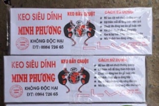 Hộp keo dính chuột