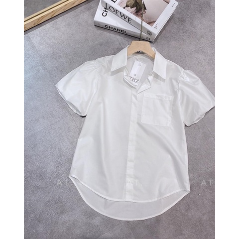 2604STB - SƠ MI TAY BỒNG