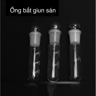Bẫy sán 3 lỗ cho tép - Bẫy sán thuỷ tinh