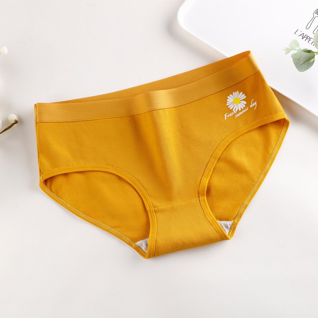 Quần Lót Cotton Kháng Khuẩn Họa Tiết Hoa Cúc Nhỏ Phong Cách Nhật Bản Thời Trang Mùa Hè Cho Nữ | BigBuy360 - bigbuy360.vn