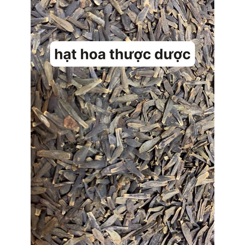 Hạt giống hoa thược dược mix màu.