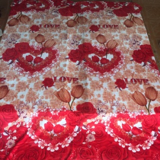 Chăn lông tuyết thu đông mỏng 1m6x2m3 (Chat chọn mẫu) Bonbishop