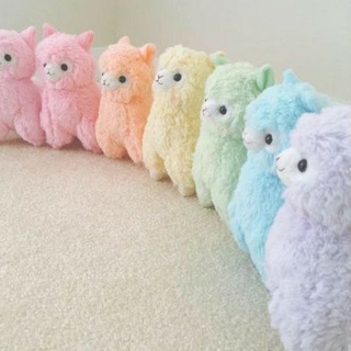 Gấu bông Lạc đà Alpaca Amuse ( lạc đà cừu) 55cm