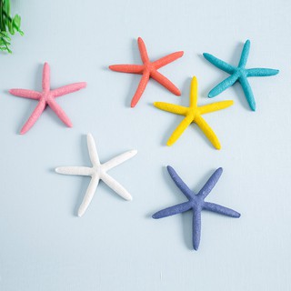 Mô hình sao biển trang trí size 13cm thân mảnh  - Decor đồ trang trí theo phong cách biển Địa Trung Hải
