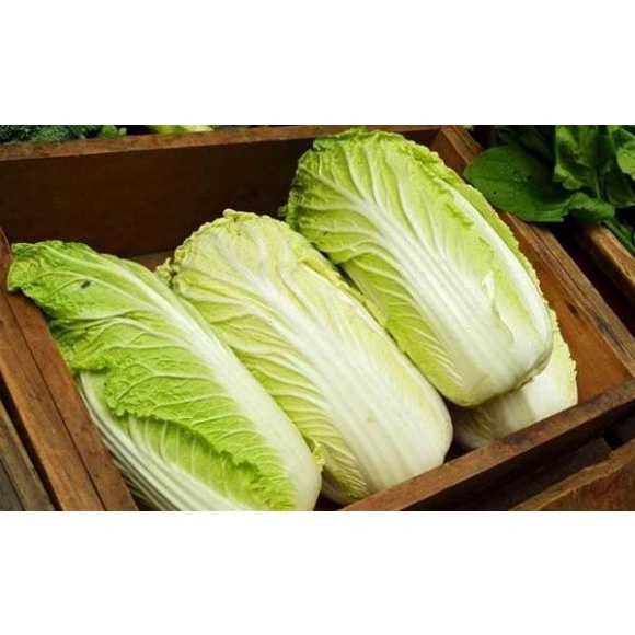 Cải Thảo Tươi Ngon Giao Siêu Tốc 1h
