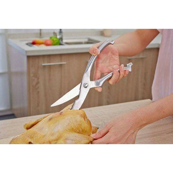 Kéo cắt gà Inox