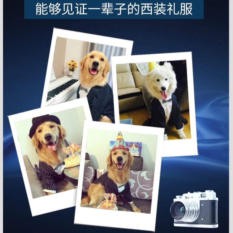 Golden Retriever Husky Labrador Chó lớn Sọc nơ Bộ quần áo cho Vật nuôi Bán buôn
