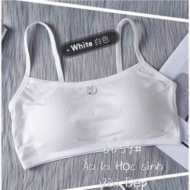 Áo Lá Học Sinh Cotton Loại Đẹp