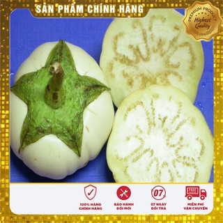 Hạt giống cà đĩa trắng