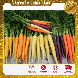 Hạt giống củ Cà Rốt Nhiều Màu dễ trồng