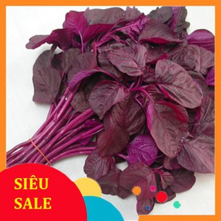 20g hạt giống rau dền đỏ vietphat