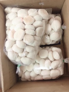 Bánh bao sữa
