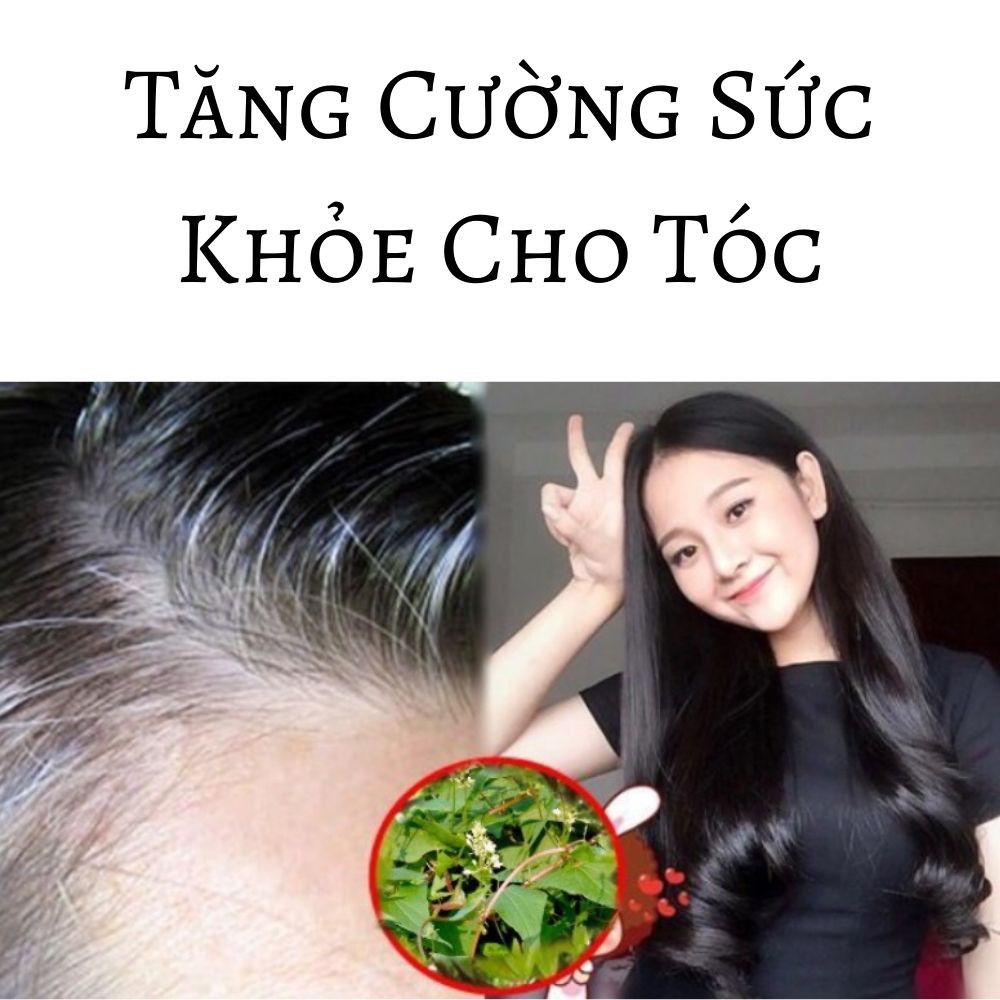 Thuốc mọc tóc Đông y gia truyền Thông Cát hiệu quả đến bất ngờ | BigBuy360 - bigbuy360.vn