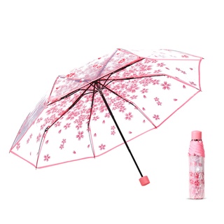 Dù gấp trong suốt trọng lượng nhẹ in họa tiết hoa anh đào 8-bone phong cách hàn quốc mới sáng tạo