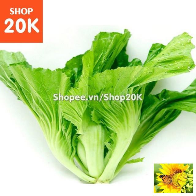 Hạt giống Cải bẹ dưa GÓI 300 HẠT