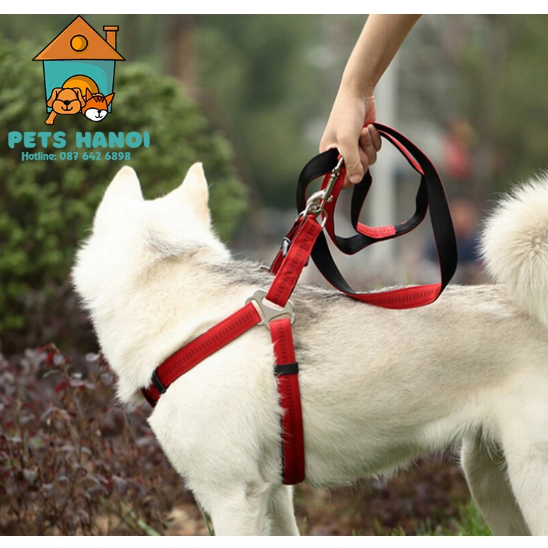 DÂY DẮT CHÓ - DÂY DẮT CHO CHÓ BECGIE - ALASKA - HUSKY - PEST HANOI