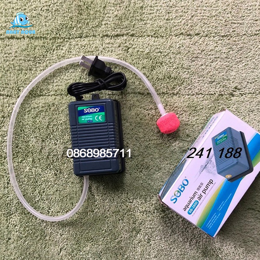 Quả Sủi OXY Nhiều màu cực xinh cho hồ cá cảnh
