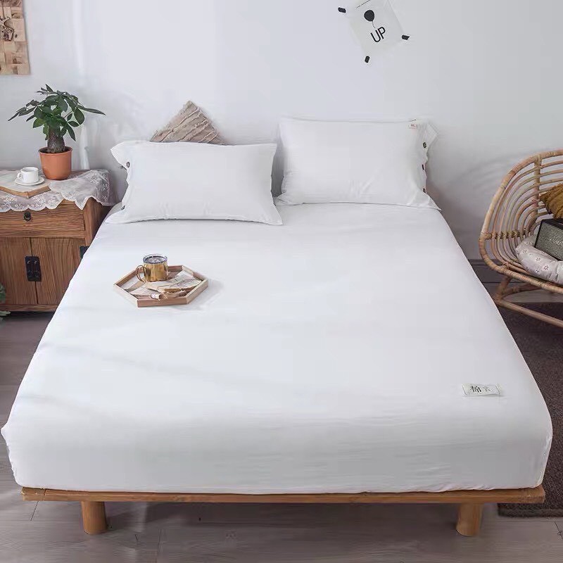Ga gối cotton Tici phong cách hàn Quốc