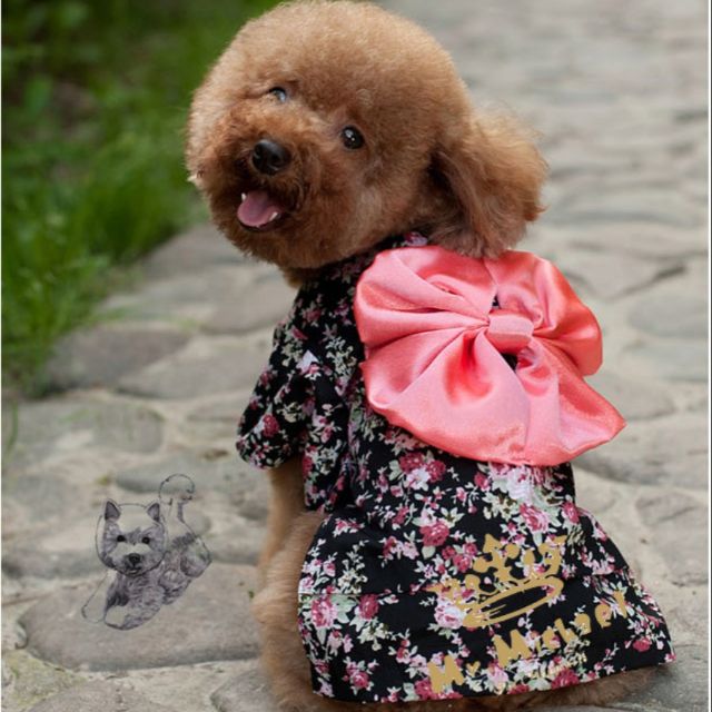 Kimono siêu xinh cho thú cưng