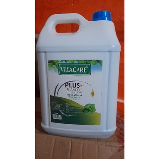 Dầu gội, sữa tắm cân 10L cho nhà nghỉ khách sạn