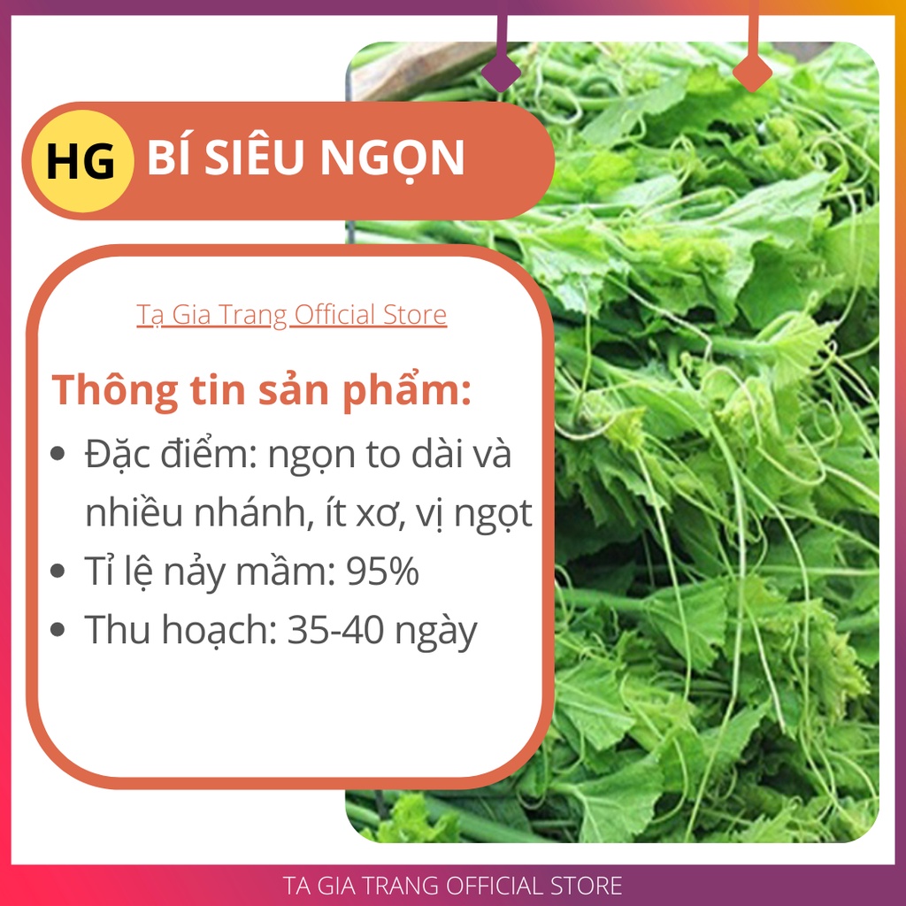 Hạt giống bí siêu ngọn năng suất cao - Shop hạt giống Tạ Gia Trang