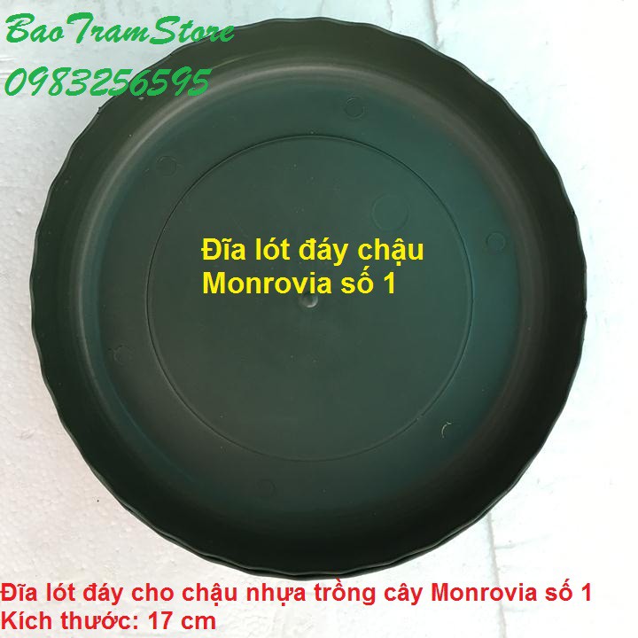 Đĩa lót đáy chậu nhựa trồng cây cao cấp Monrovia cỡ số 1