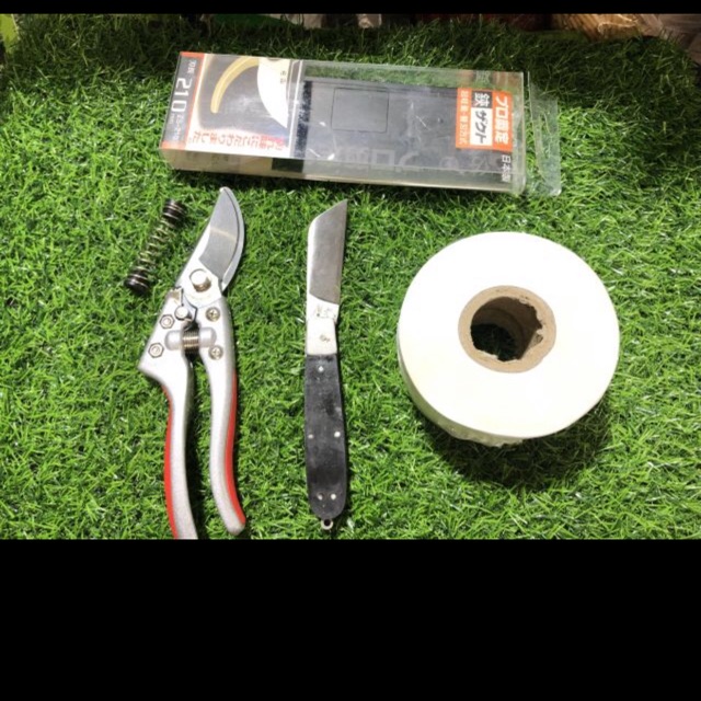 Bộ sản phẩm ghép cây