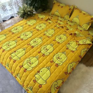 Set chăn hè ga gối 5 món