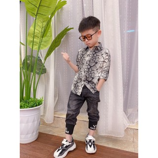 Áo sơmi lụa