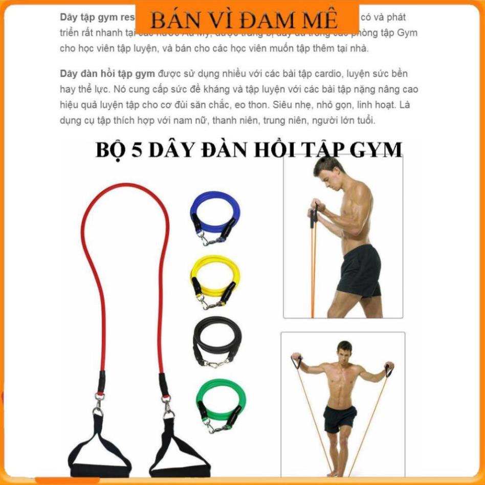 ✔️ Siêu sale - Hàng Chính hãng Bộ 5 dây đàn hồi tập thể hình gọn nhẹ - Dụng cụ tập gym, Dụng cụ tập yoga ✔️