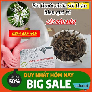Cây Râu Mèo 100g - Thu Hái Tự Nhiên - Chất Lượng Loại 1