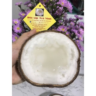 Dừa sáp trà vinh loại 1