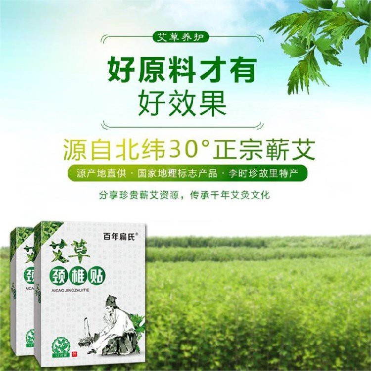 Hộp 12 Miếng Dán Vai Gáy Đông Y Thảo Dược | BigBuy360 - bigbuy360.vn