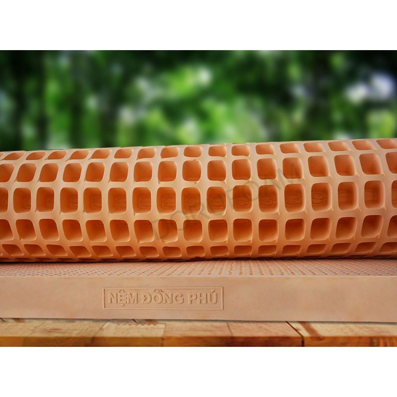 nệm cao su thiên nhiên đông phú 1m4x2mx10cm