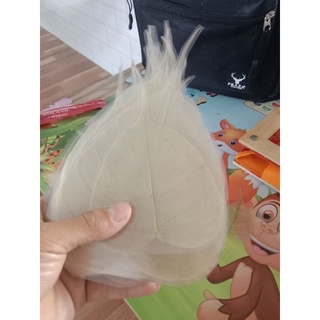 Lá Bồ Đề May mắn 🍀🍀