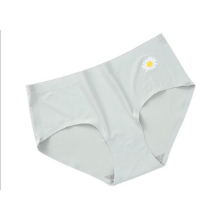 Combo 10 quần đúc hình cúc hoạ mi