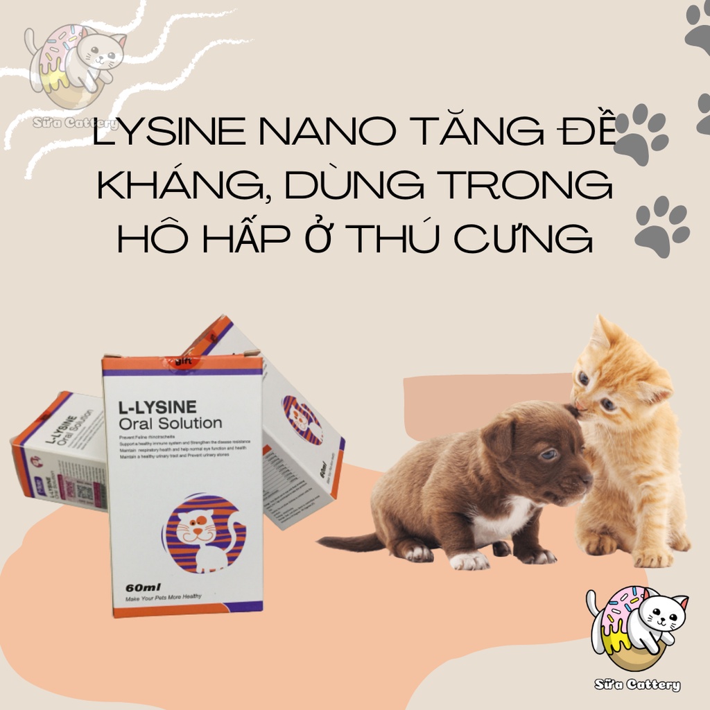 L-Lysine cho mèo bị hô hấp, herpes chó mèo