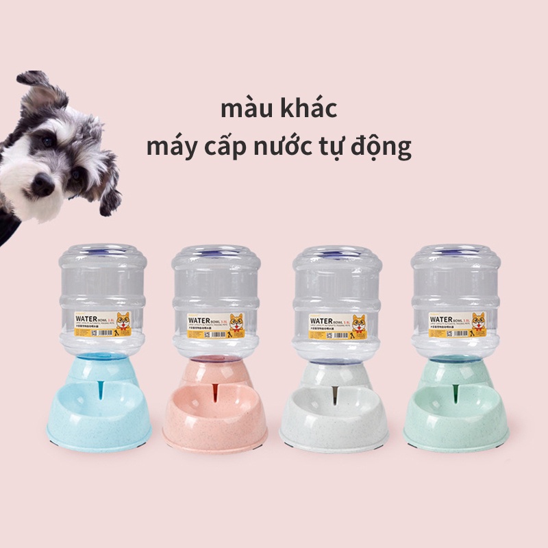 Domicoo Máy lọc nước cho thú cưng dung tích lớn 3.8L cho vật nuôi ăn thức ăn tự động cho chó bú bát cho thú cưng