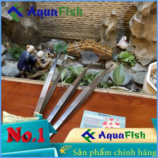 Kẹp Nhím Trồng Cây Thủy Sinh