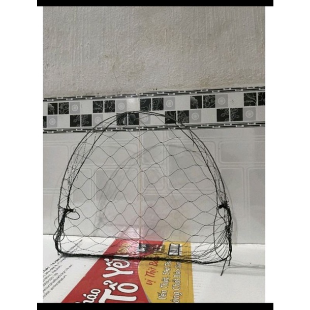 Cung chim cút mới nhất 2021