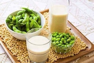 Mầm đậu lành nguyên xơ