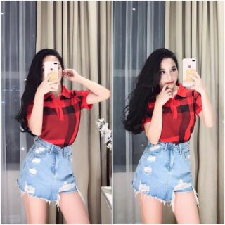 Áo Thun BBr cổ bẻ