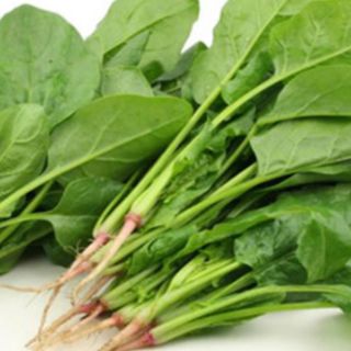 Hạt giống cải bó xôi